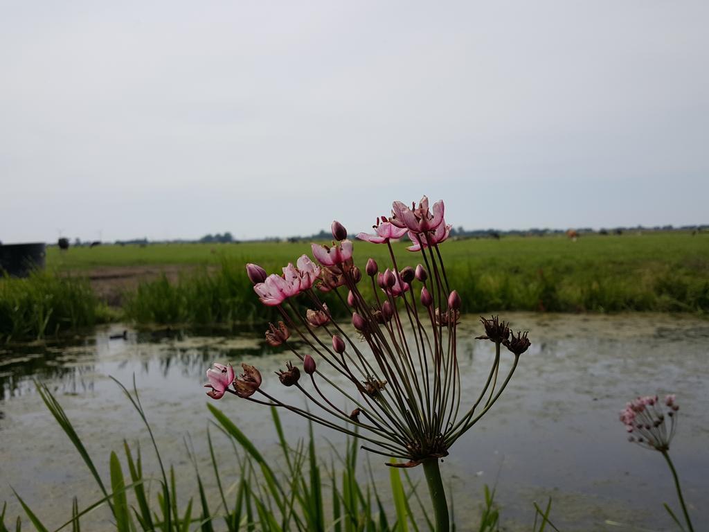 Bed & Breakfast De Koegang Bed & Breakfast Zuidermeer Luaran gambar